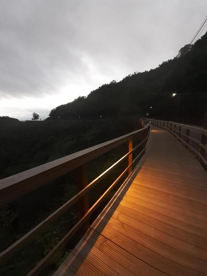 Chez Louise: Onde A Serra Beija O Ceu Lousã Eksteriør billede